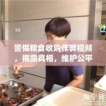 警惕粮食收购作弊视频,揭露真相,维护公平交易!