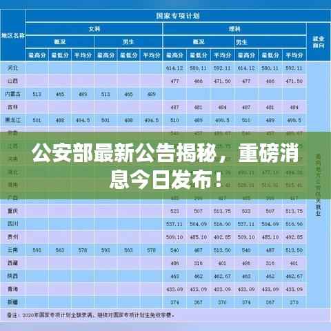 公安部最新公告揭秘,重磅消息今日发布!