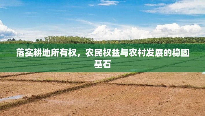 落实耕地所有权,农民权益与农村发展的稳固基石