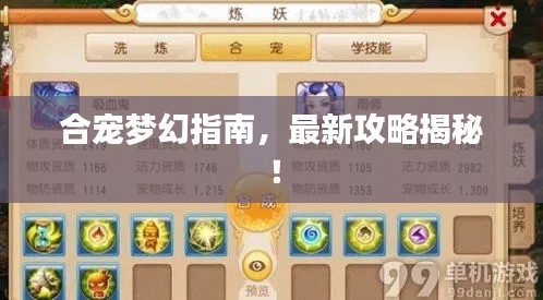 合宠梦幻指南,最新攻略揭秘!