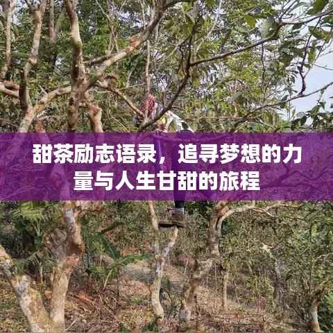 甜茶励志语录,追寻梦想的力量与人生甘甜的旅程