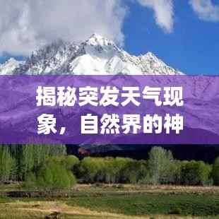 联系方式 第98页