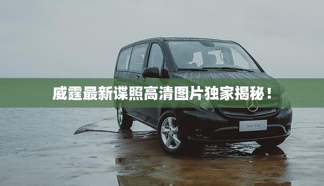 威霆最新谍照高清图片独家揭秘！