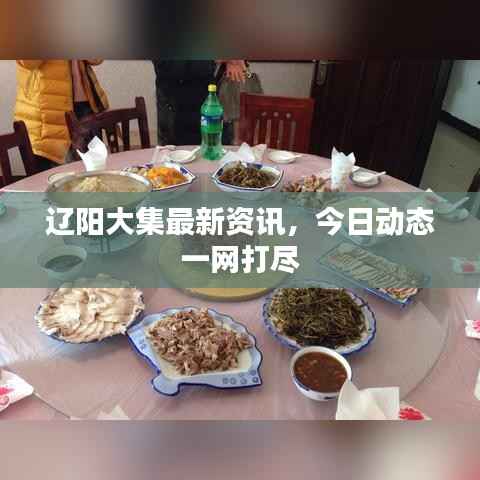 辽阳大集最新资讯,今日动态一网打尽