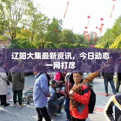 辽阳大集最新资讯,今日动态一网打尽