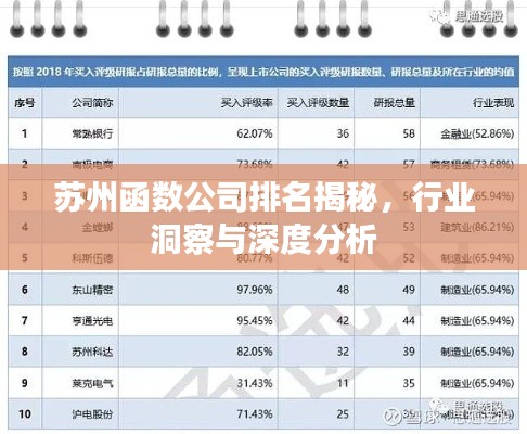 苏州函数公司排名揭秘,行业洞察与深度分析