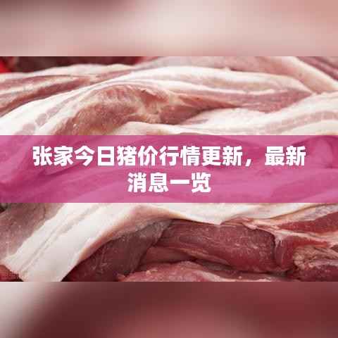 张家今日猪价行情更新,最新消息一览
