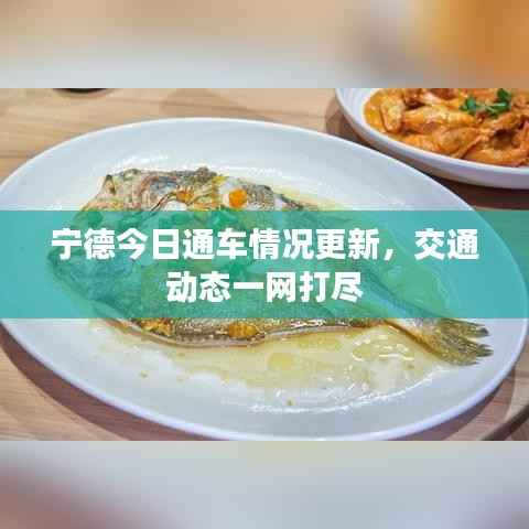 宁德今日通车情况更新,交通动态一网打尽