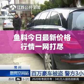 鱼料今日最新价格行情一网打尽