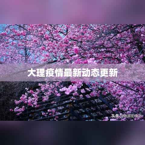 大理疫情最新动态更新