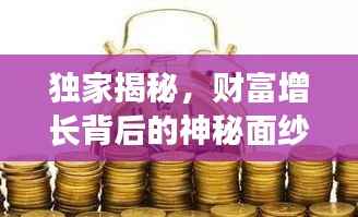 独家揭秘,财富增长背后的神秘面纱,轻松实现暴富梦想!