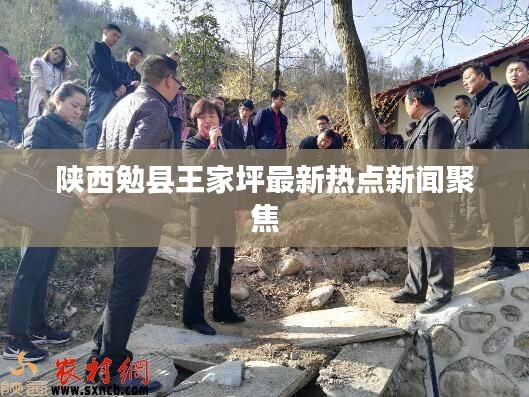 陕西勉县王家坪最新热点新闻聚焦