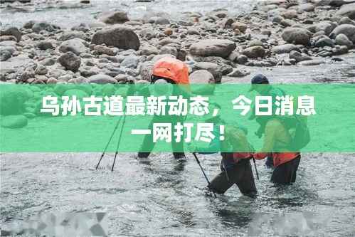乌孙古道最新动态,今日消息一网打尽!