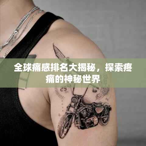 全球痛感排名大揭秘,探索疼痛的神秘世界