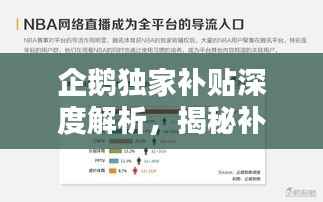 企鹅独家补贴深度解析,揭秘补贴金额与探讨其背后价值