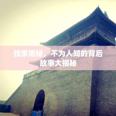 独家揭秘,不为人知的背后故事大揭秘