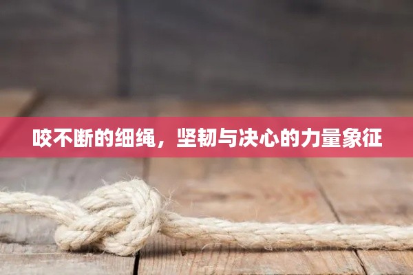 咬不断的细绳,坚韧与决心的力量象征