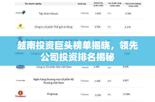 越南投资巨头榜单揭晓,领先公司投资排名揭秘