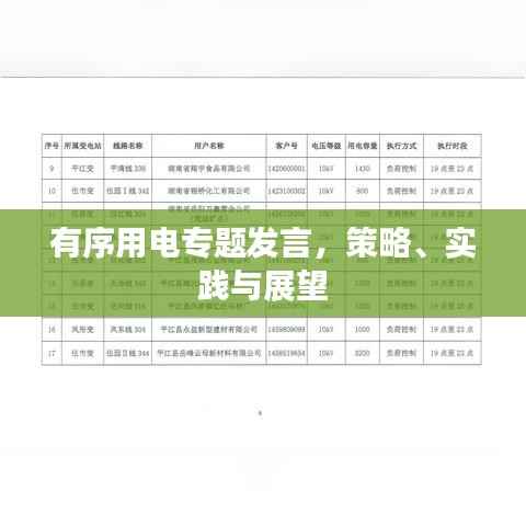 有序用电专题发言,策略、实践与展望