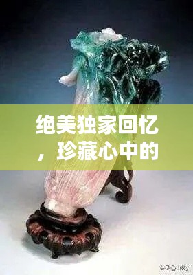 绝美独家回忆,珍藏心中的无价之宝