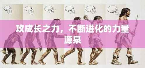 攻成长之力,不断进化的力量源泉