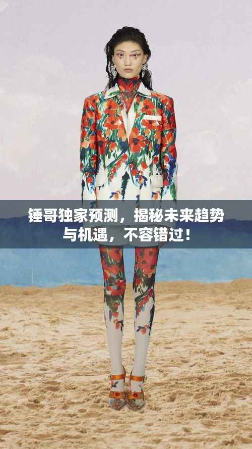 锤哥独家预测,揭秘未来趋势与机遇,不容错过!