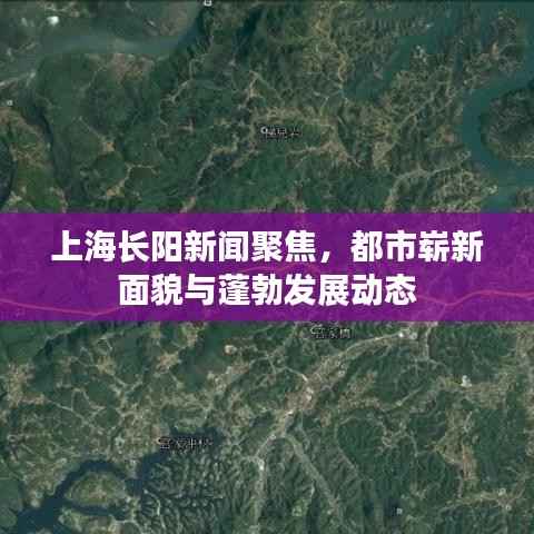 上海长阳新闻聚焦,都市崭新面貌与蓬勃发展动态