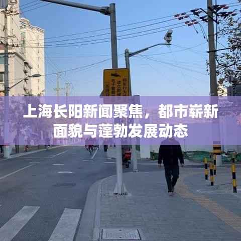 上海长阳新闻聚焦,都市崭新面貌与蓬勃发展动态