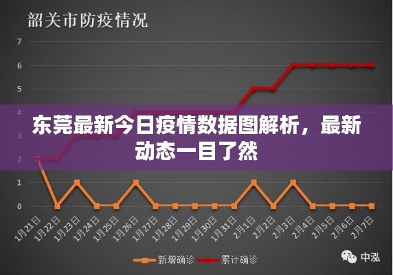 东莞最新今日疫情数据图解析,最新动态一目了然