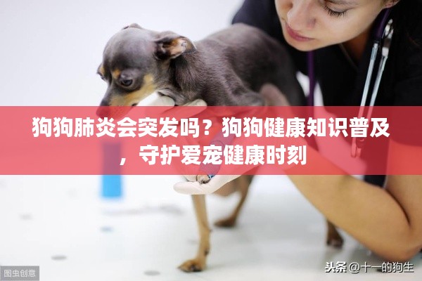 狗狗肺炎会突发吗?狗狗健康知识普及,守护爱宠健康时刻
