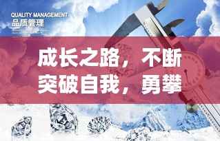 成长之路,不断突破自我,勇攀高峰之巅