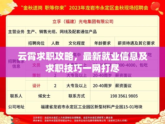 云霄求职攻略，最新就业信息及求职技巧一网打尽