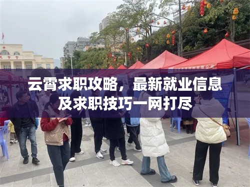 云霄求职攻略,最新就业信息及求职技巧一网打尽