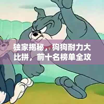 独家揭秘,狗狗耐力大比拼,前十名榜单全攻略!