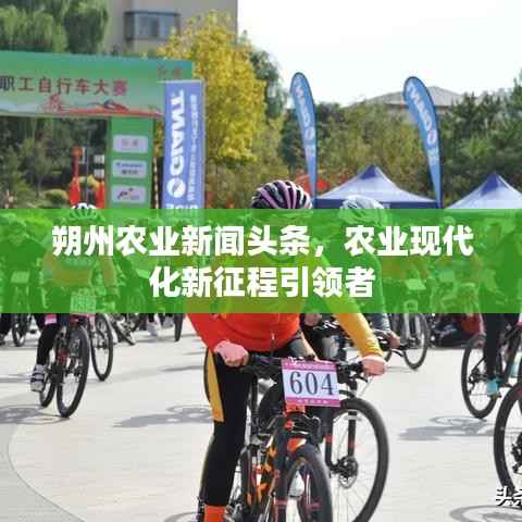 朔州农业新闻头条,农业现代化新征程引领者
