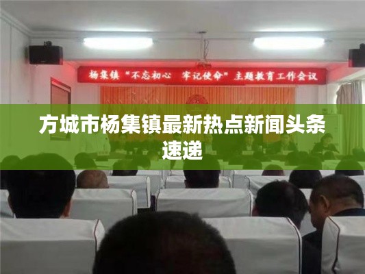 方城市杨集镇最新热点新闻头条速递
