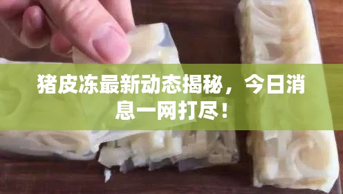 猪皮冻最新动态揭秘,今日消息一网打尽!