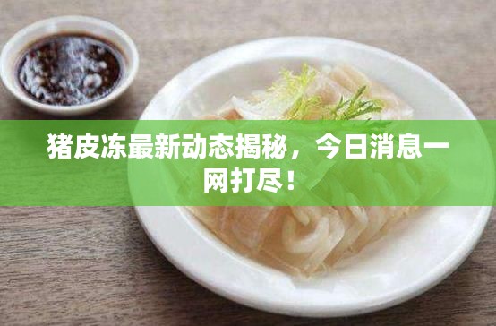 猪皮冻最新动态揭秘,今日消息一网打尽!