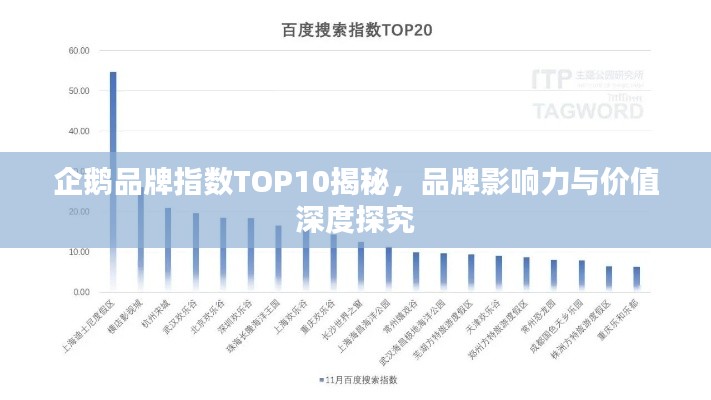 企鹅品牌指数TOP10揭秘,品牌影响力与价值深度探究
