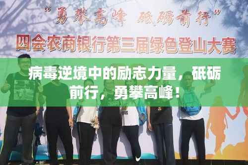 新闻中心 第94页