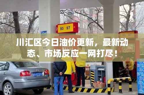 川汇区今日油价更新,最新动态、市场反应一网打尽!