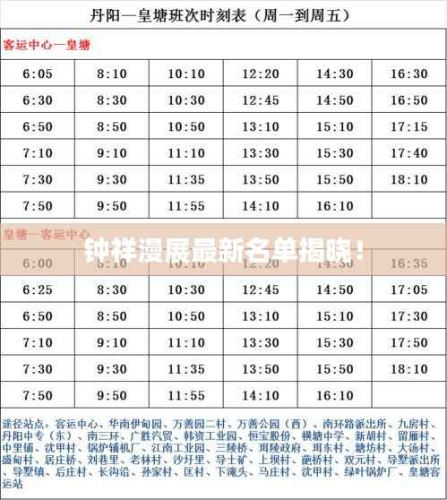 钟祥漫展最新名单揭晓!