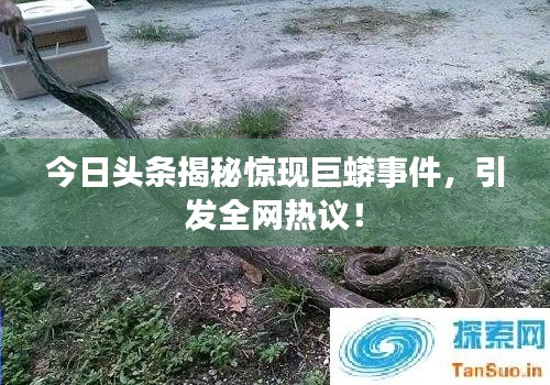 今日头条揭秘惊现巨蟒事件,引发全网热议!