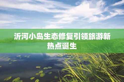 沂河小岛生态修复引领旅游新热点诞生