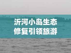 沂河小岛生态修复引领旅游新热点诞生