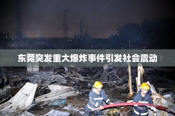 东莞突发重大爆炸事件引发社会震动