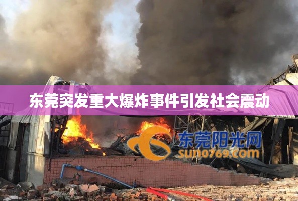 东莞突发重大爆炸事件引发社会震动