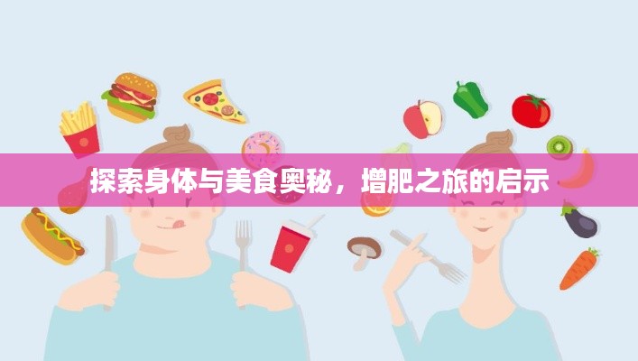 探索身体与美食奥秘,增肥之旅的启示