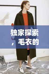 独家探索，毛衣的小众品牌魅力之旅