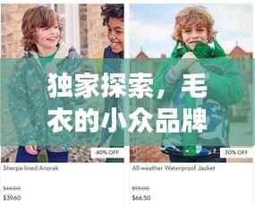 独家探索,毛衣的小众品牌魅力之旅